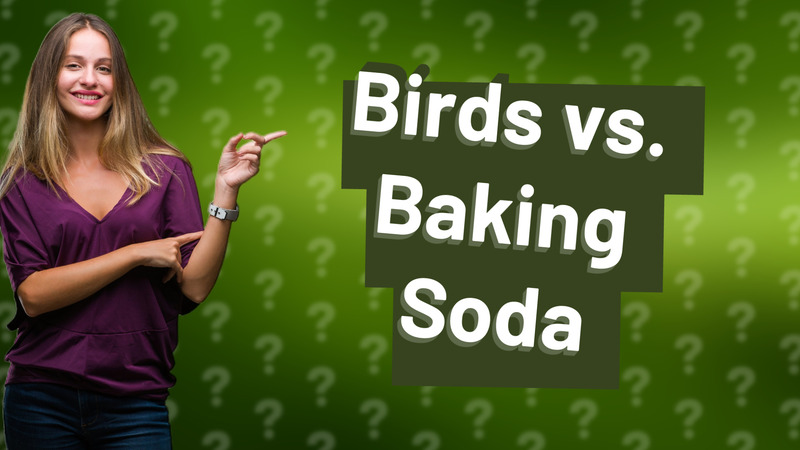 Birds vs. Baking Soda