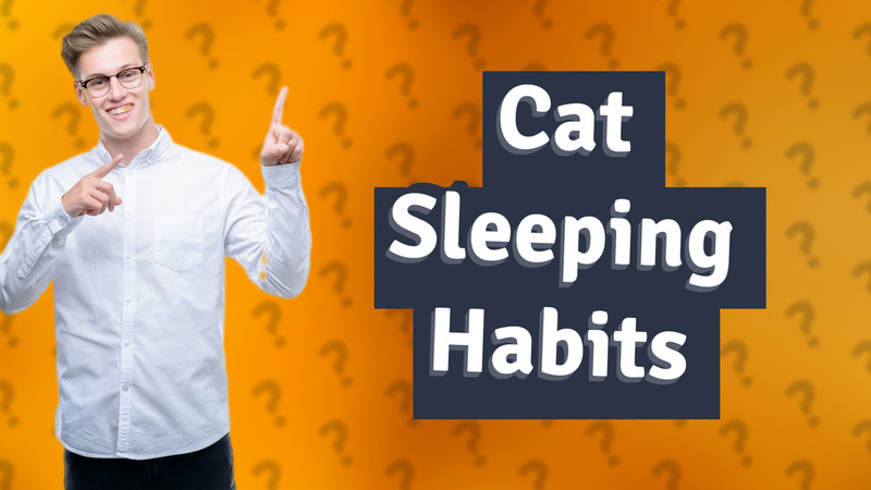 Cat Sleeping Habits