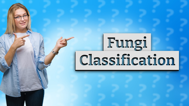 Fungi Classification