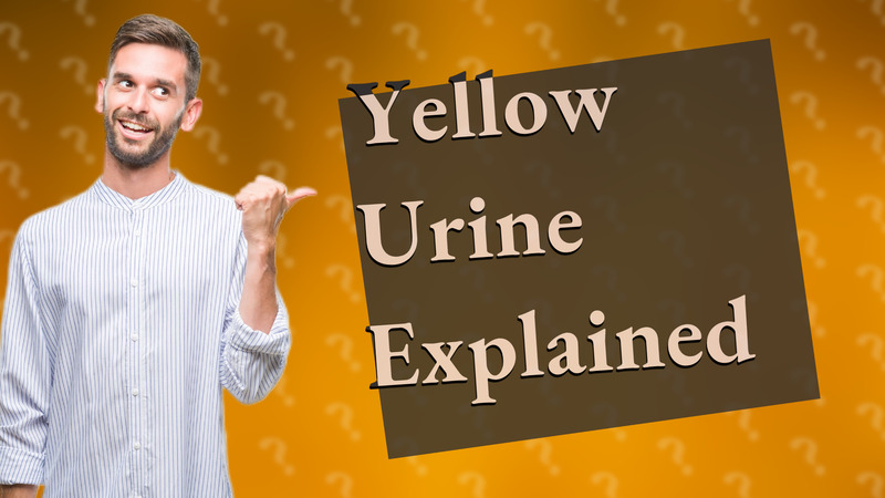 Yellow Urine Explained