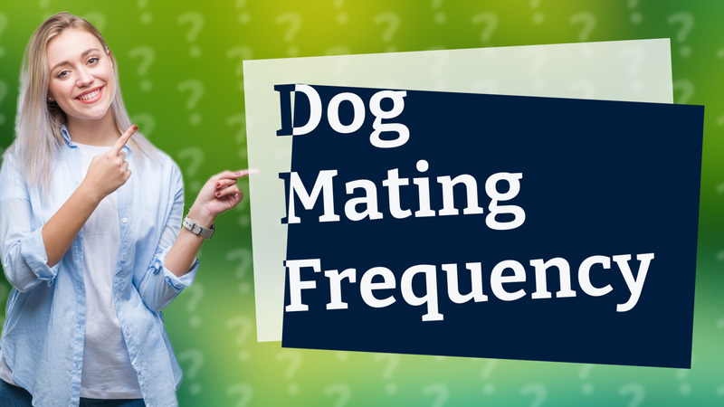 Dog Mating Frequency