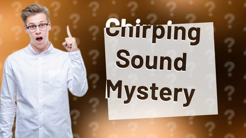 Chirping Sound Mystery