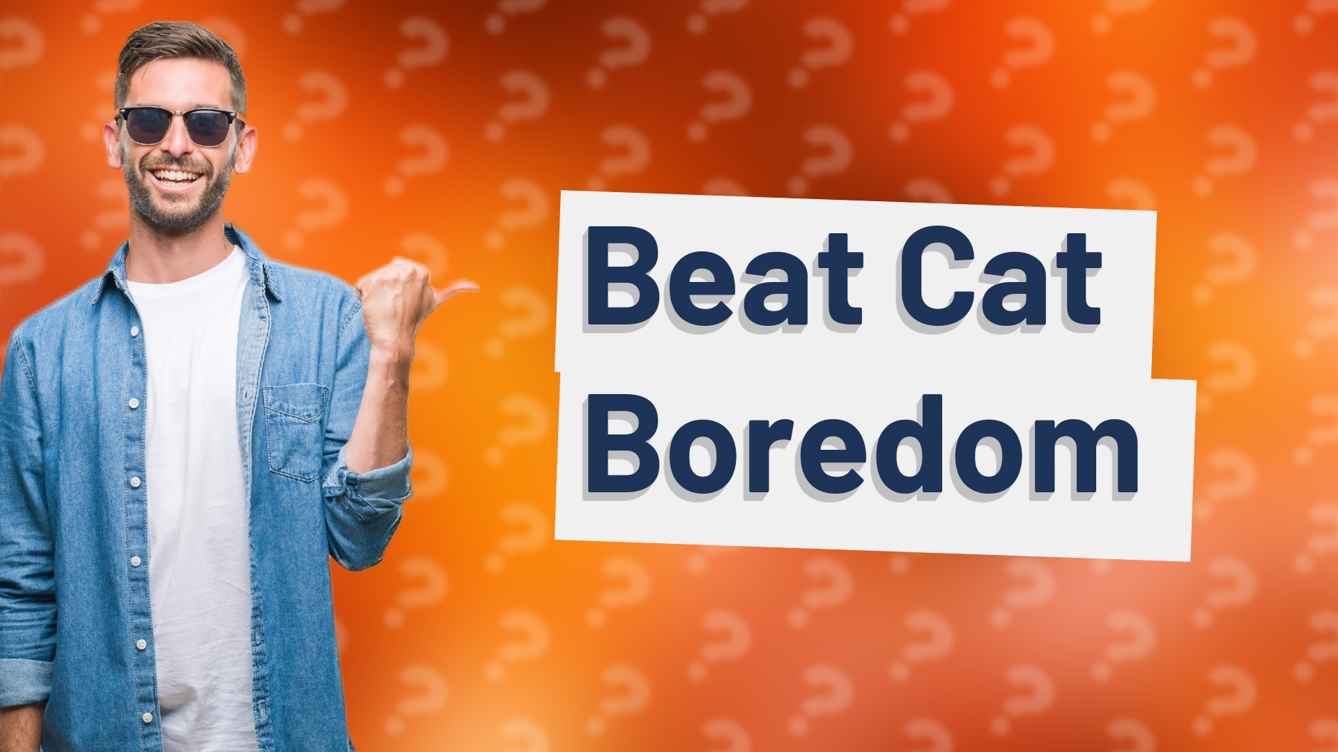 Beat Cat Boredom