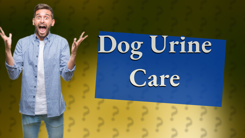 Dog Urine Care