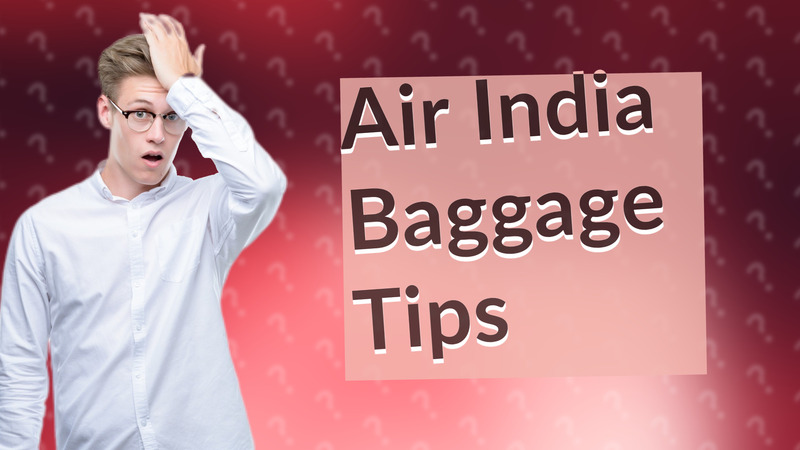 Air India Baggage Tips