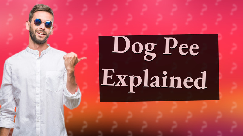 Dog Pee Explained