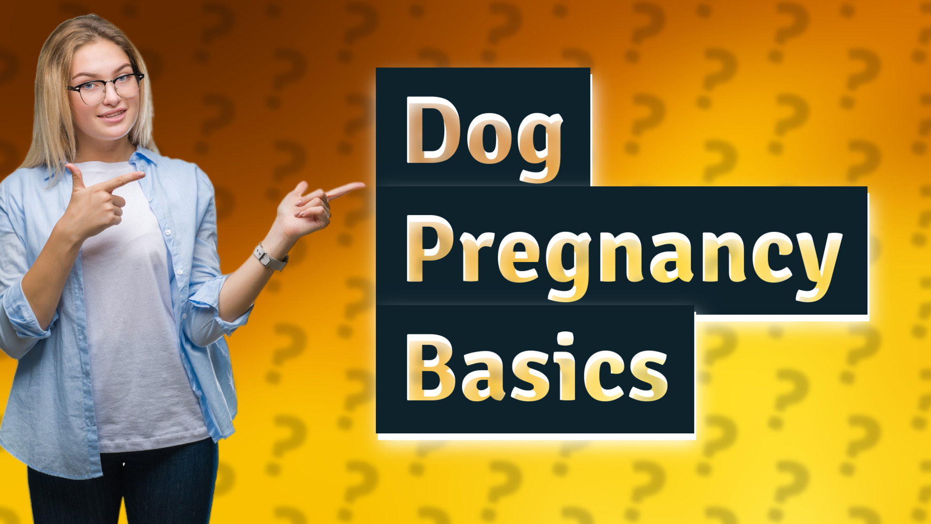 Dog Pregnancy Basics