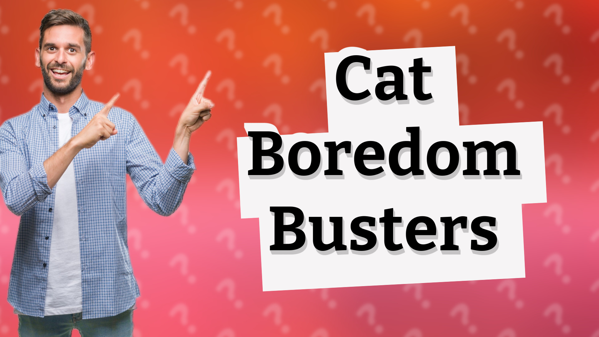 Cat Boredom Busters