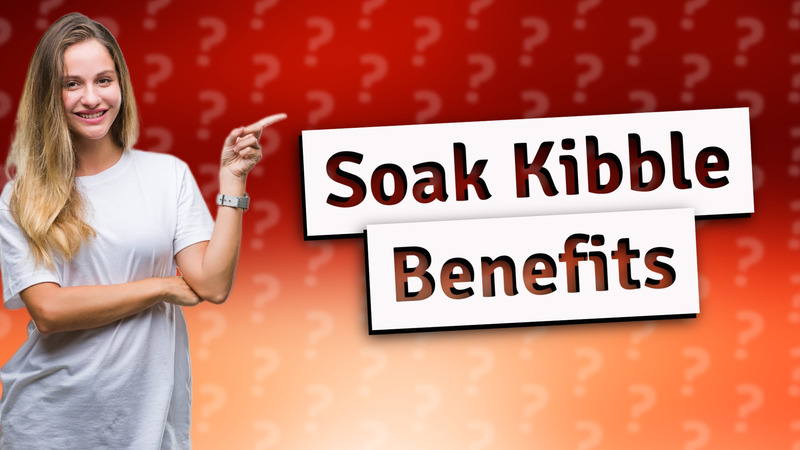 Soak Kibble Benefits