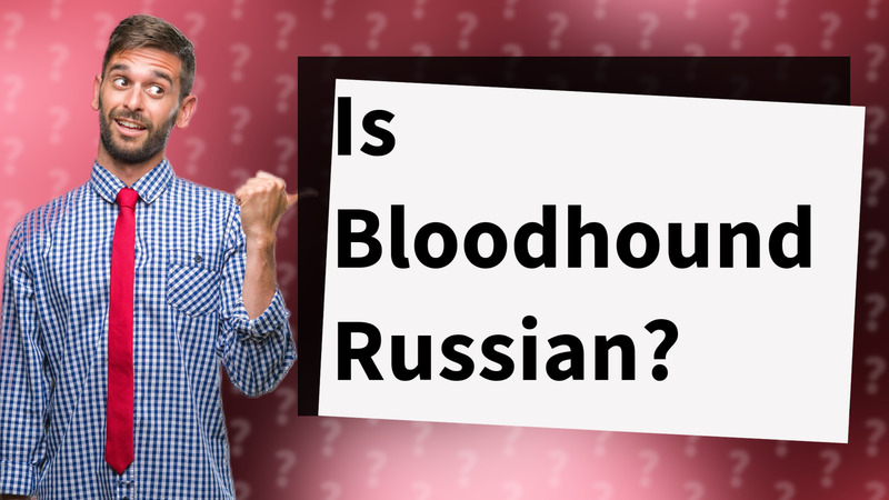 Is Bloodhound Russian?