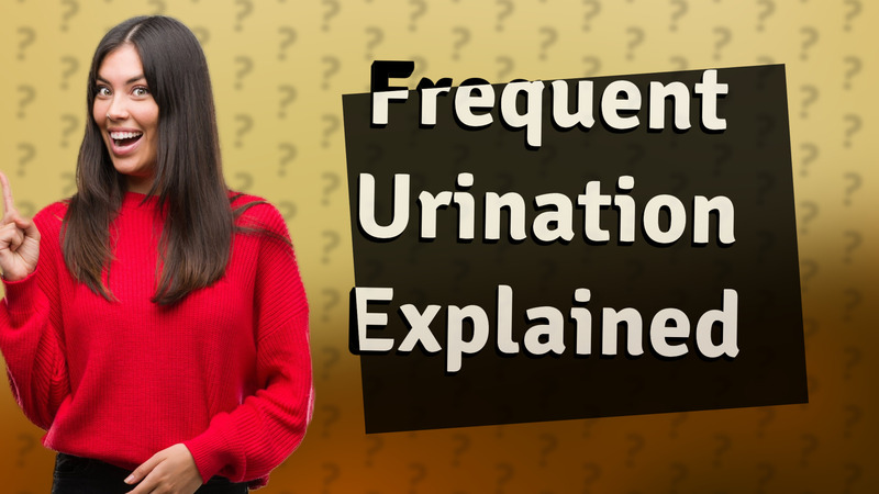 Frequent Urination Explained