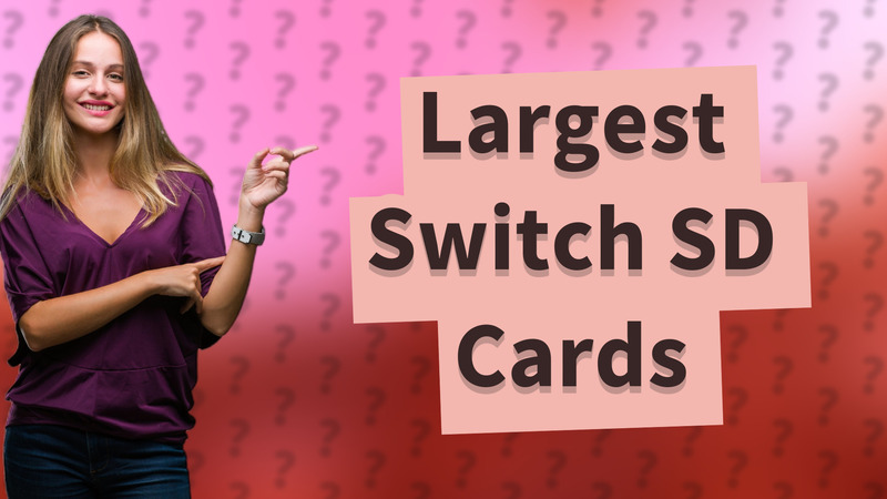 Largest Switch SD Cards