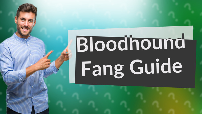Bloodhound Fang Guide
