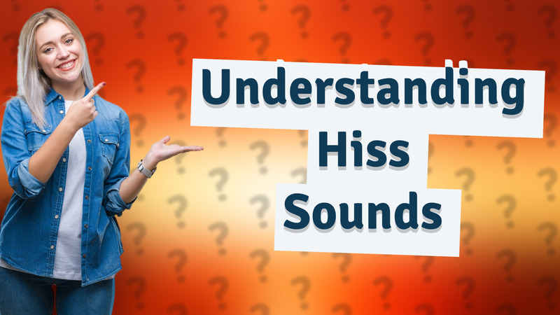 Understanding Hiss Sounds