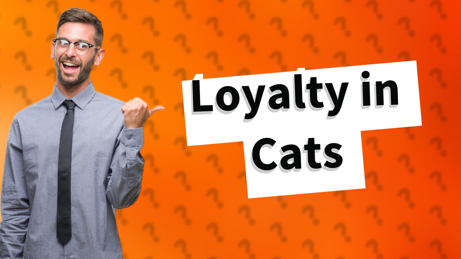 Loyalty in Cats