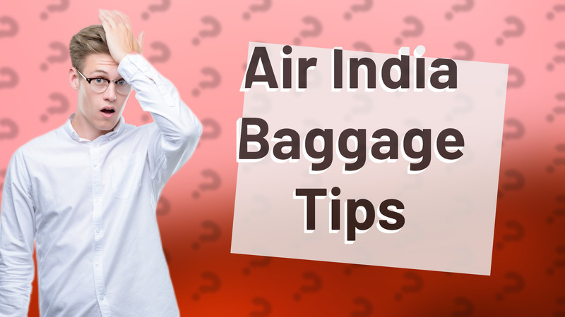 Air India Baggage Tips