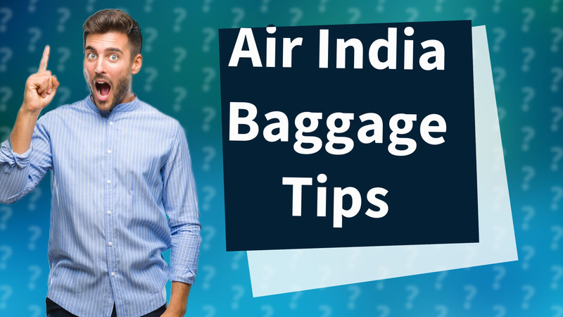 Air India Baggage Tips