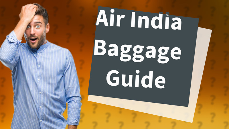 Air India Baggage Guide