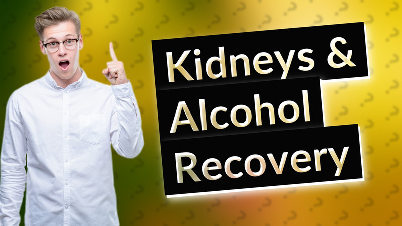 Kidneys & Alcohol Recovery
