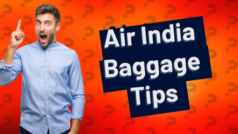 Air India Baggage Tips