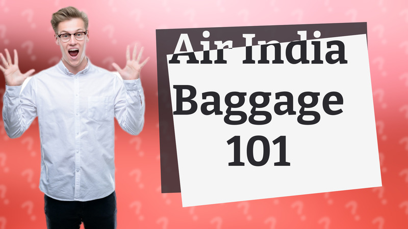 Air India Baggage 101