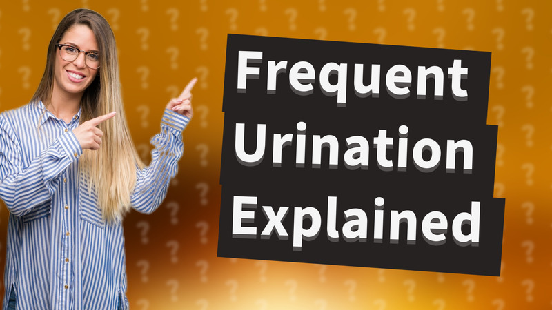 Frequent Urination Explained