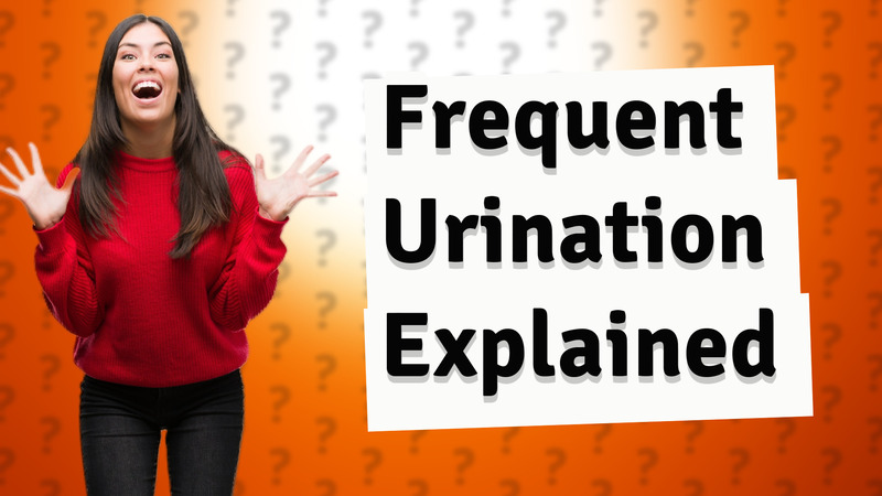 Frequent Urination Explained