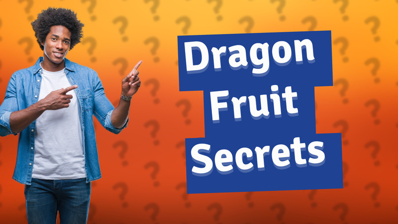 Dragon Fruit Secrets