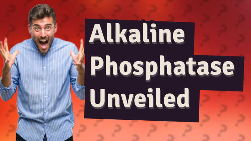 Alkaline Phosphatase Unveiled