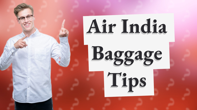 Air India Baggage Tips