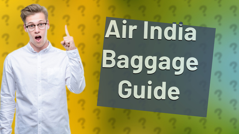 Air India Baggage Guide