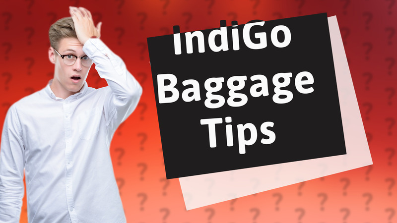 IndiGo Baggage Tips