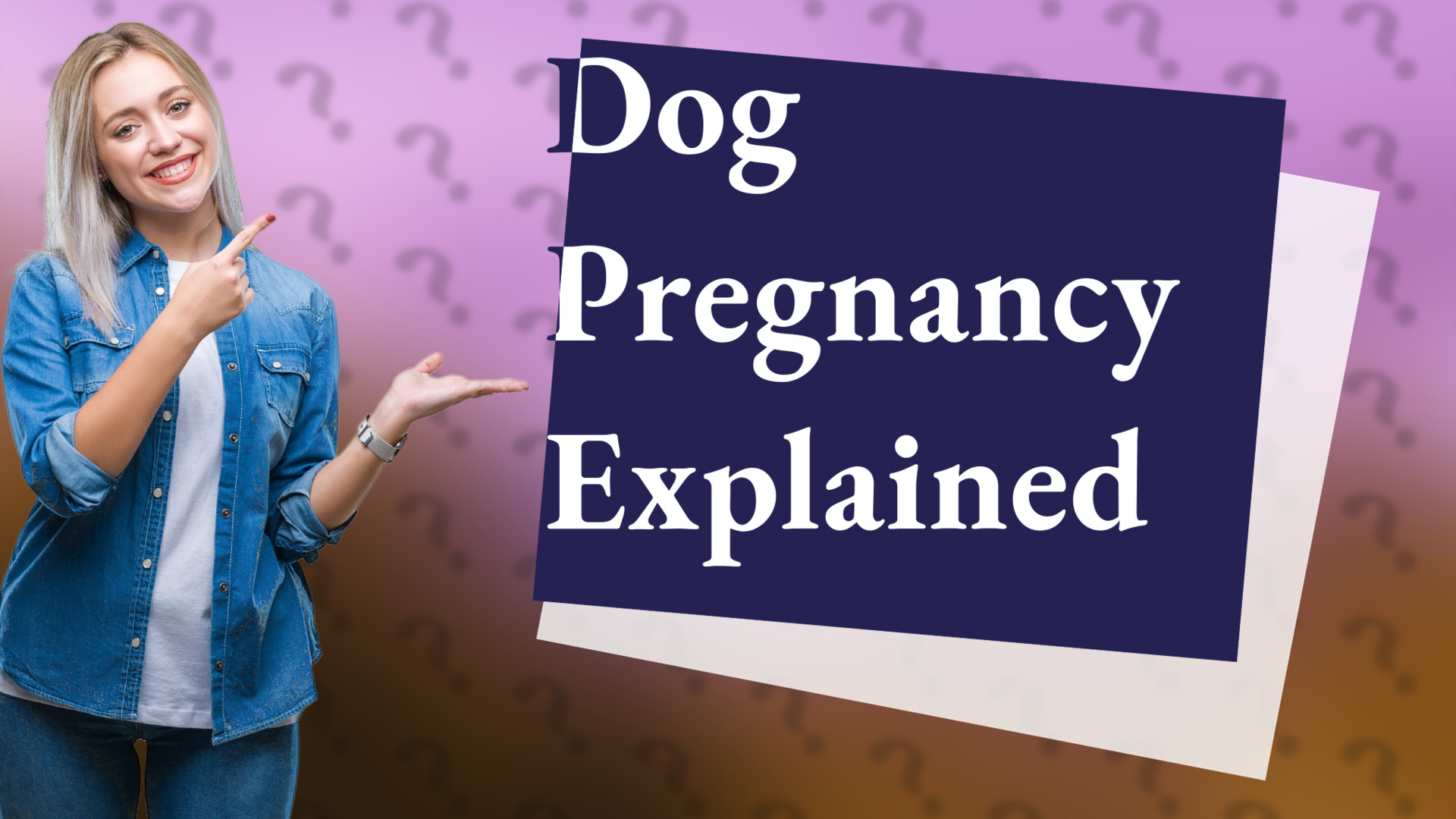 Dog Pregnancy Explained