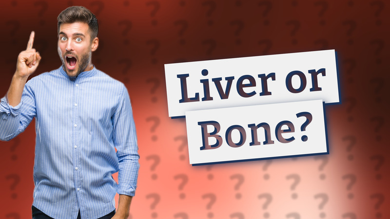 Liver or Bone?