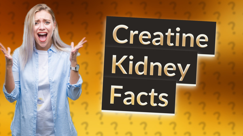 Creatine Kidney Facts