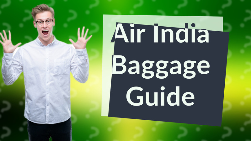 Air India Baggage Guide