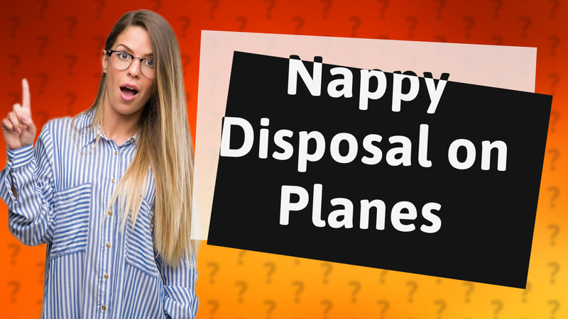 Nappy Disposal on Planes