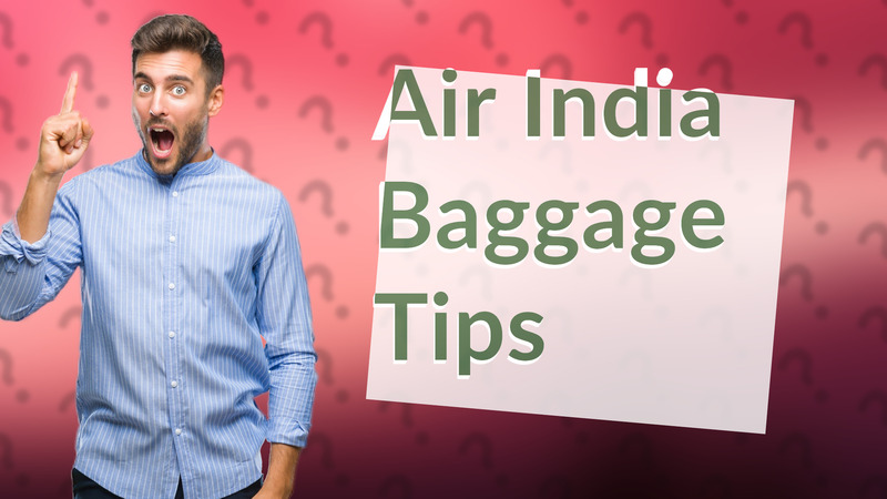 Air India Baggage Tips