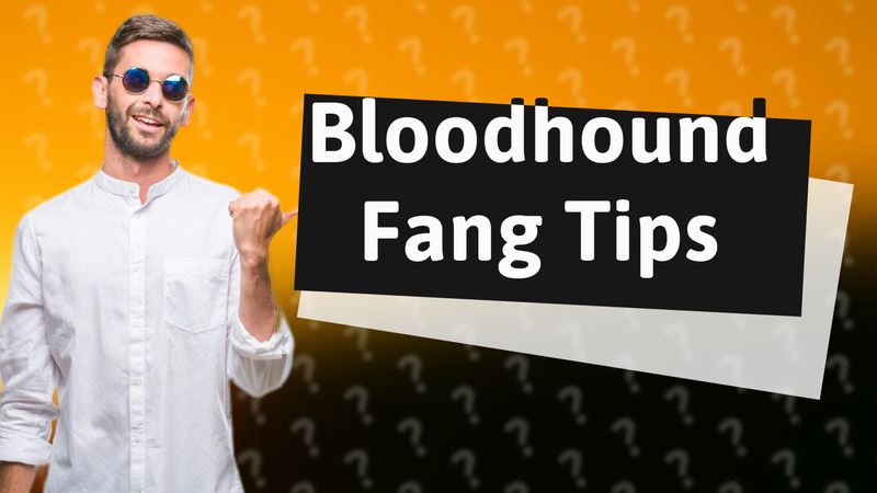 Bloodhound Fang Tips