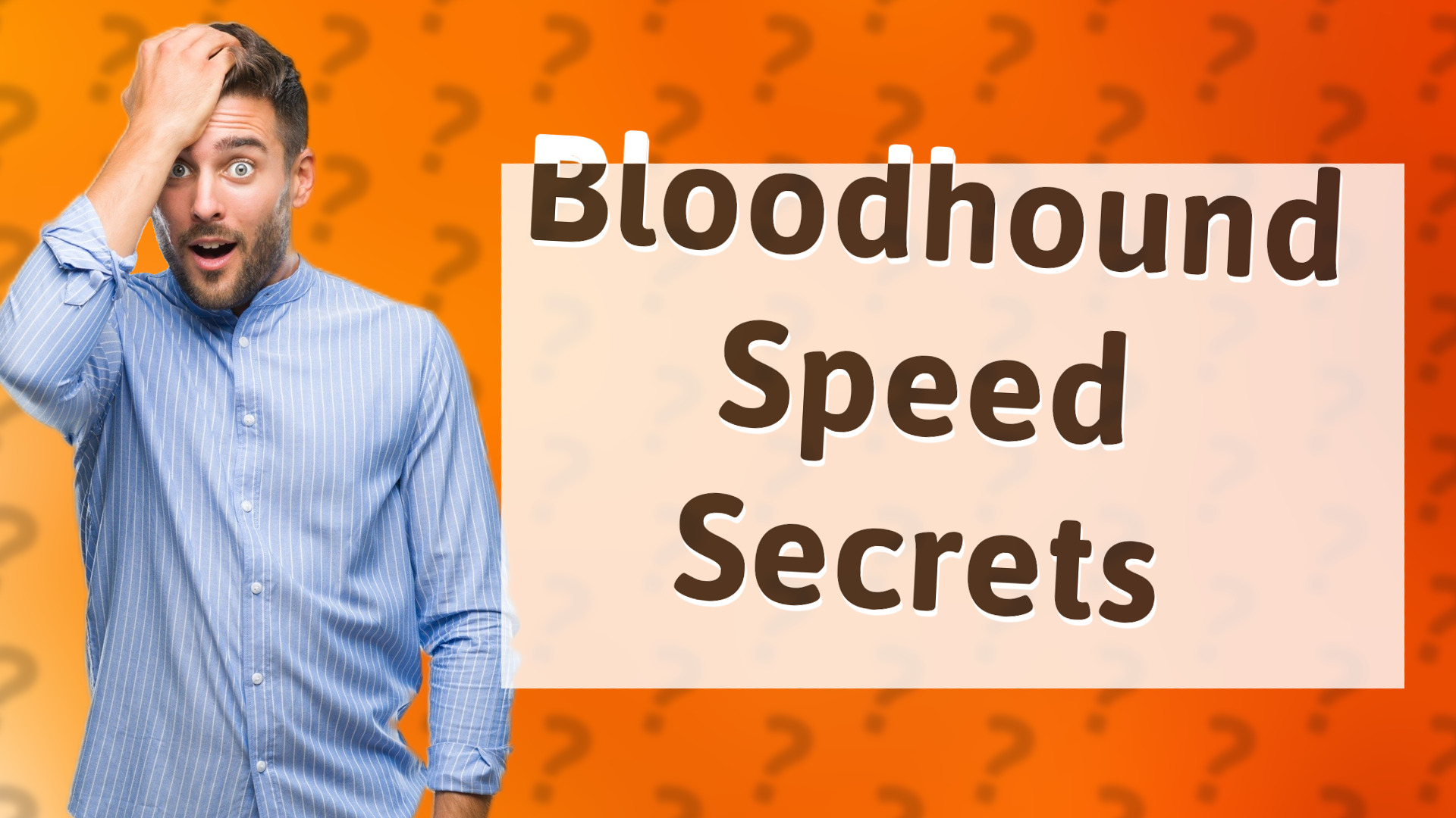 Bloodhound Speed Secrets
