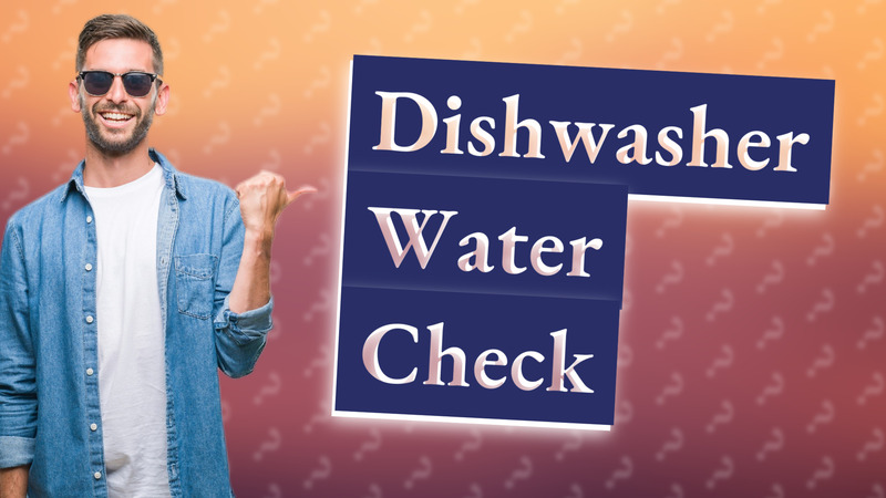 Dishwasher Water Check