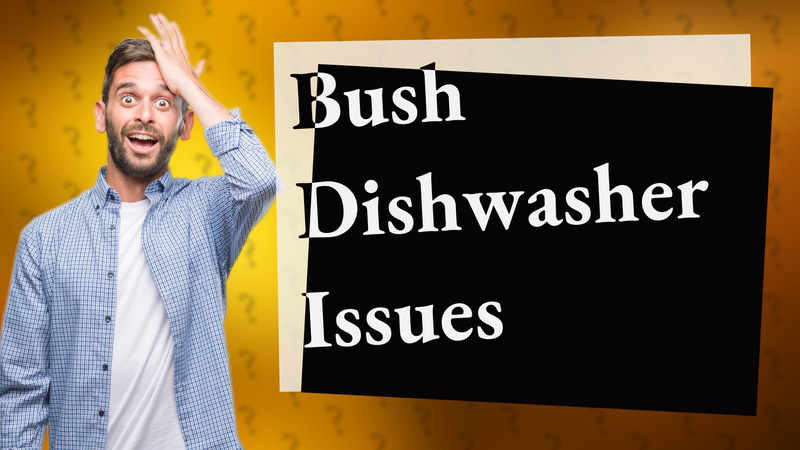 Bush Dishwasher Issues
