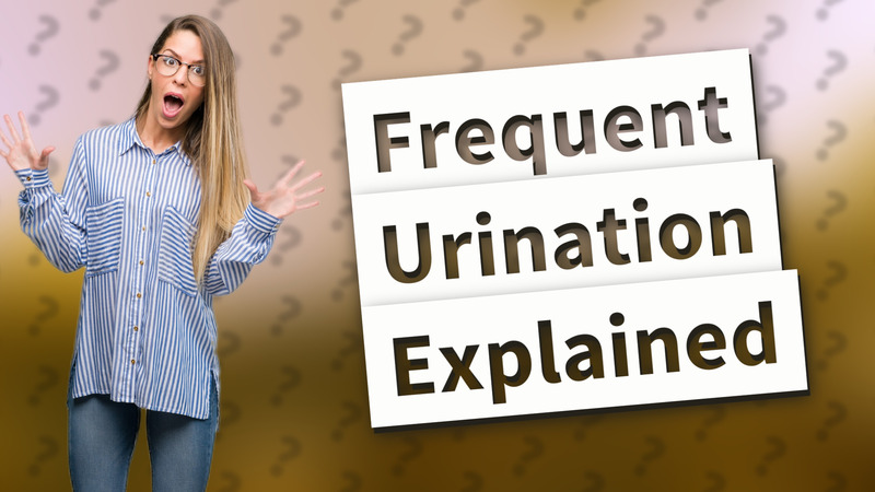 Frequent Urination Explained