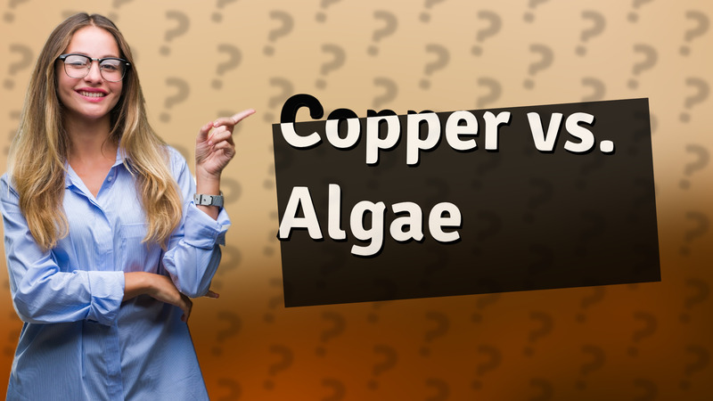 Copper vs. Algae
