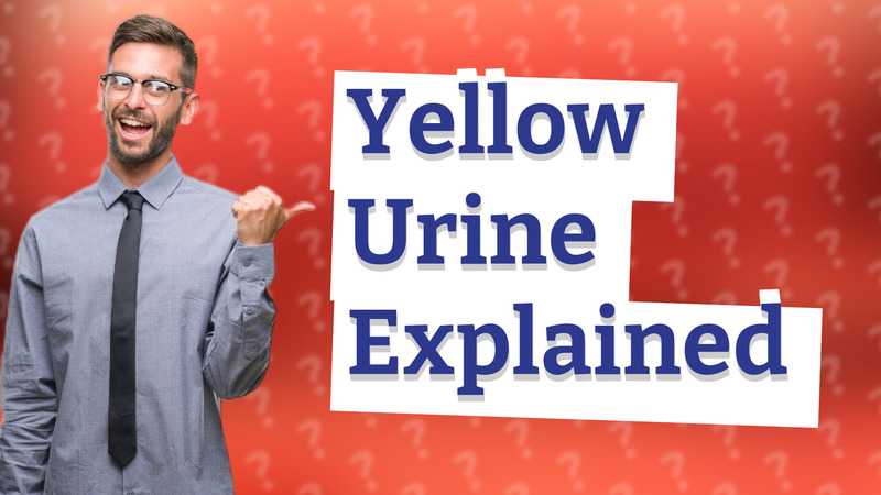 Yellow Urine Explained