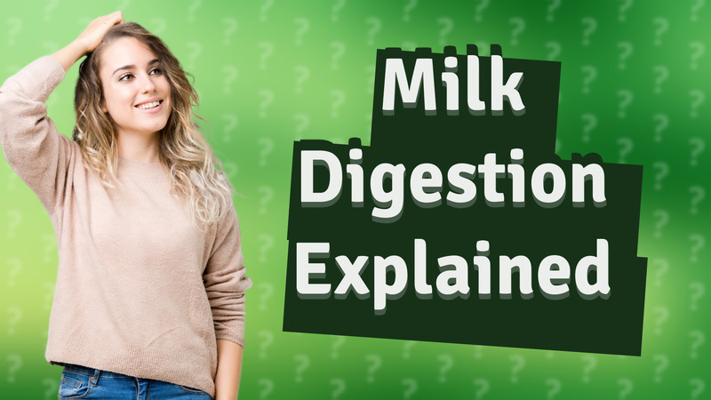 Milk Digestion Explained