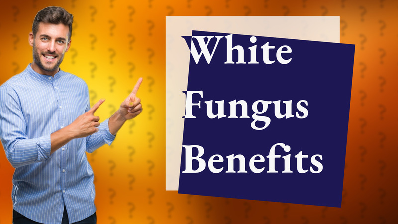 White Fungus Benefits