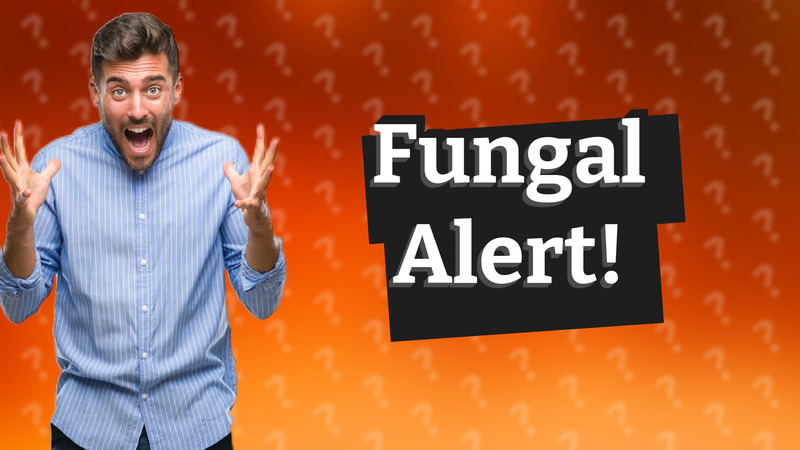 Fungal Alert!
