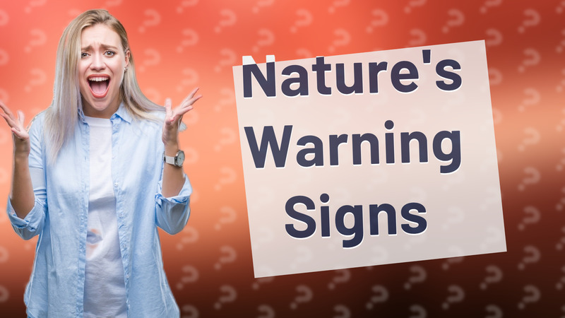 Nature's Warning Signs
