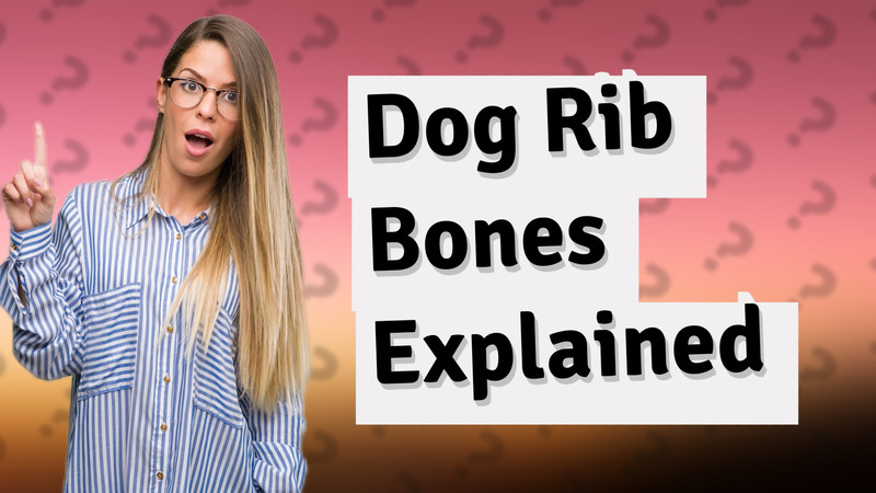 Dog Rib Bones Explained